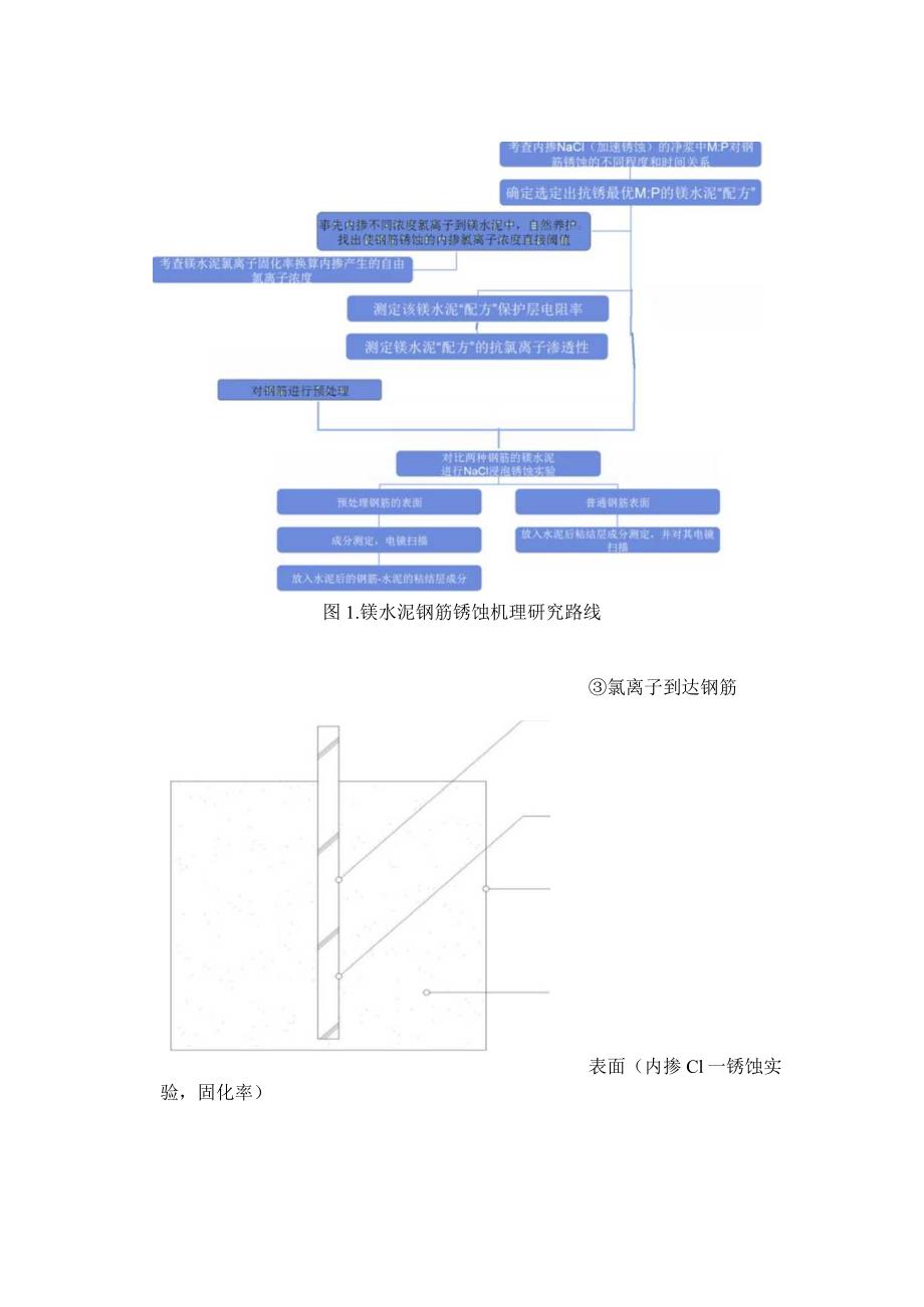 镁水泥钢筋锈蚀机理研究路线.docx_第1页