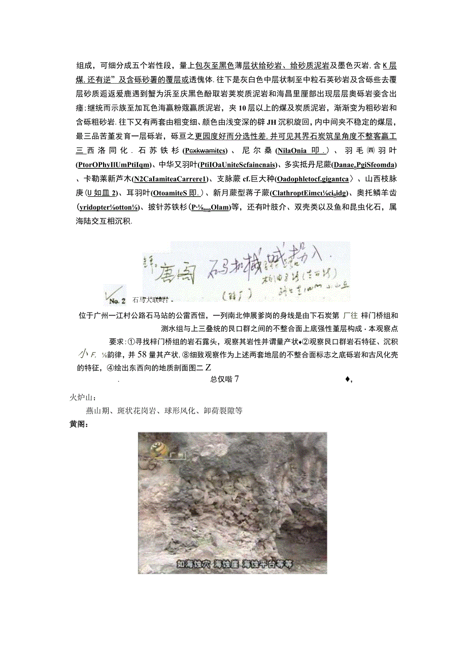 广州及其临近地区地质资料.docx_第1页