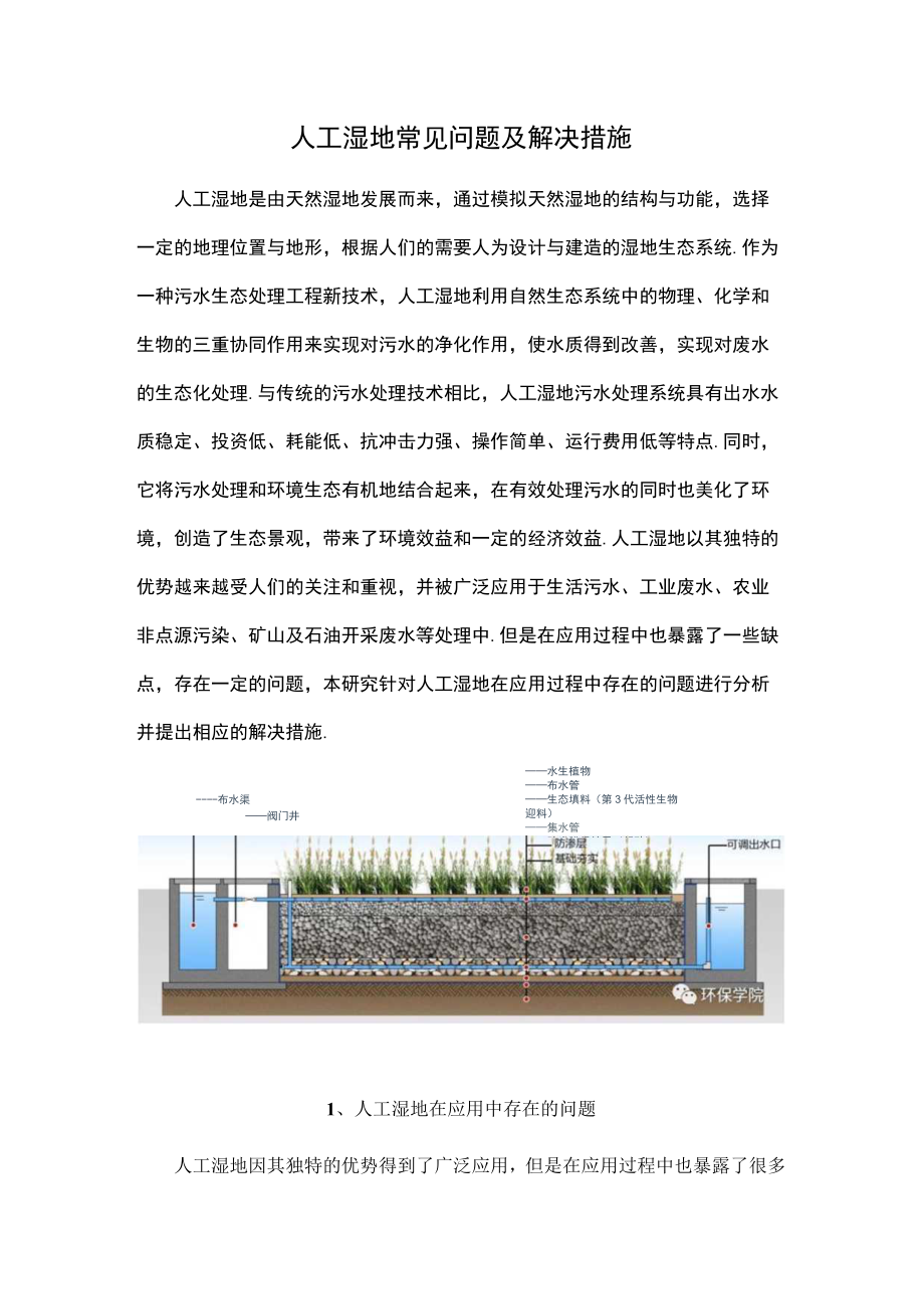 人工湿地常见问题及解决措施.docx_第1页