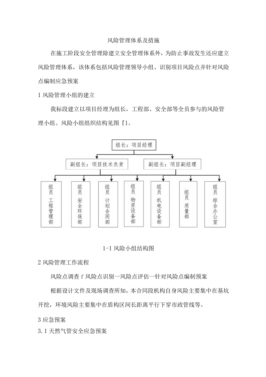 风险管理体系及措施.docx_第1页