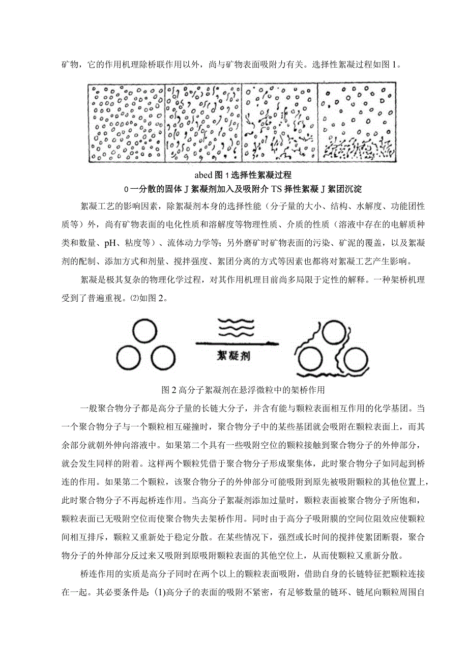 选择性絮凝及其在选矿中的应用.docx_第2页