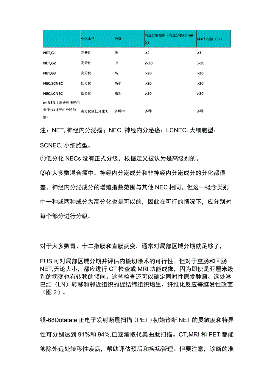 2023胃肠道神经内分泌瘤.docx_第3页