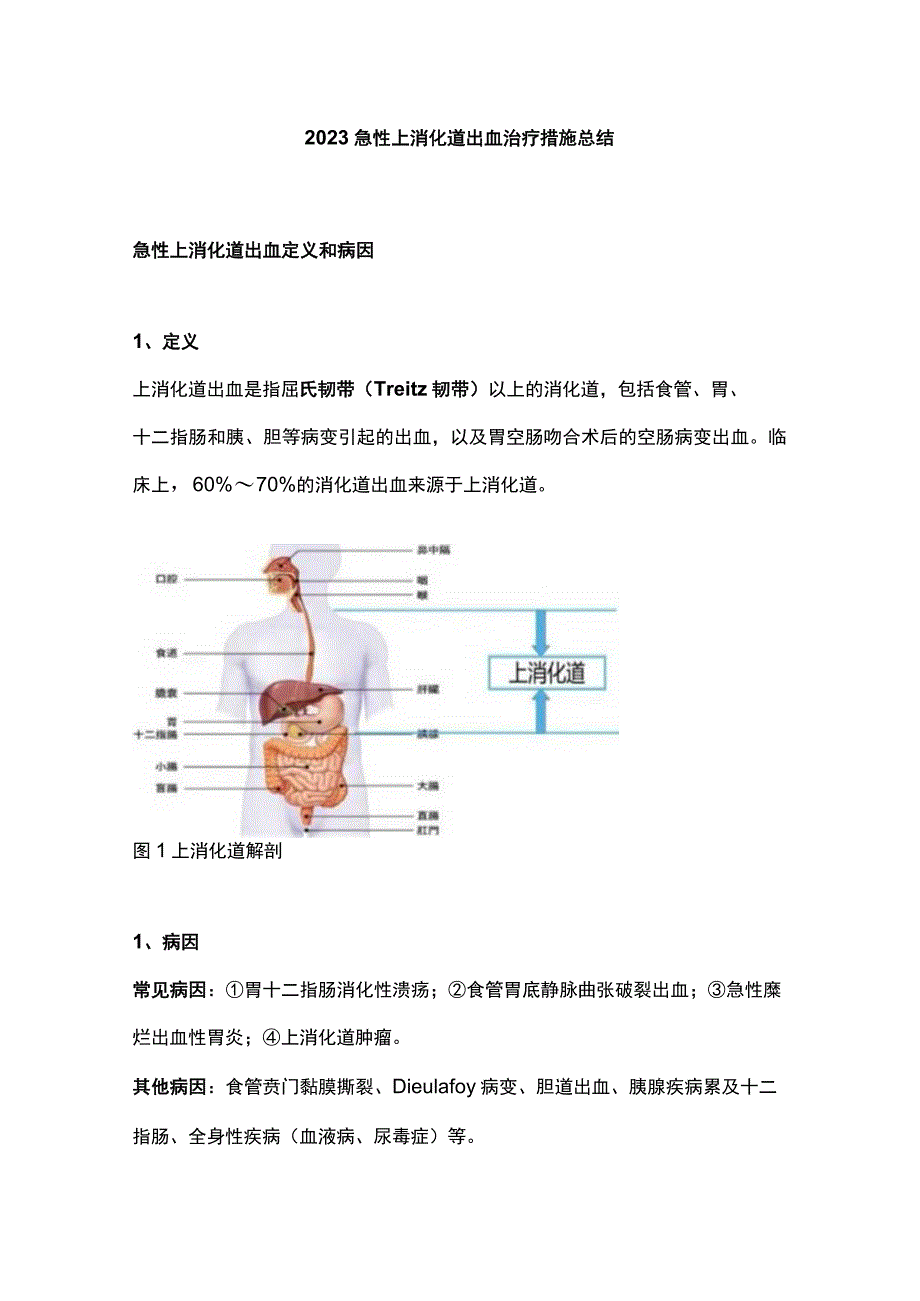 2023急性上消化道出血治疗措施总结.docx_第1页