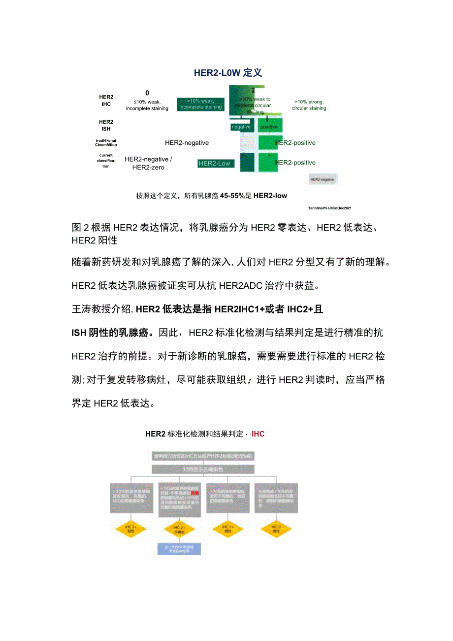 2023年HER2+ 乳腺癌治疗中国专家共识推荐意见.docx_第2页