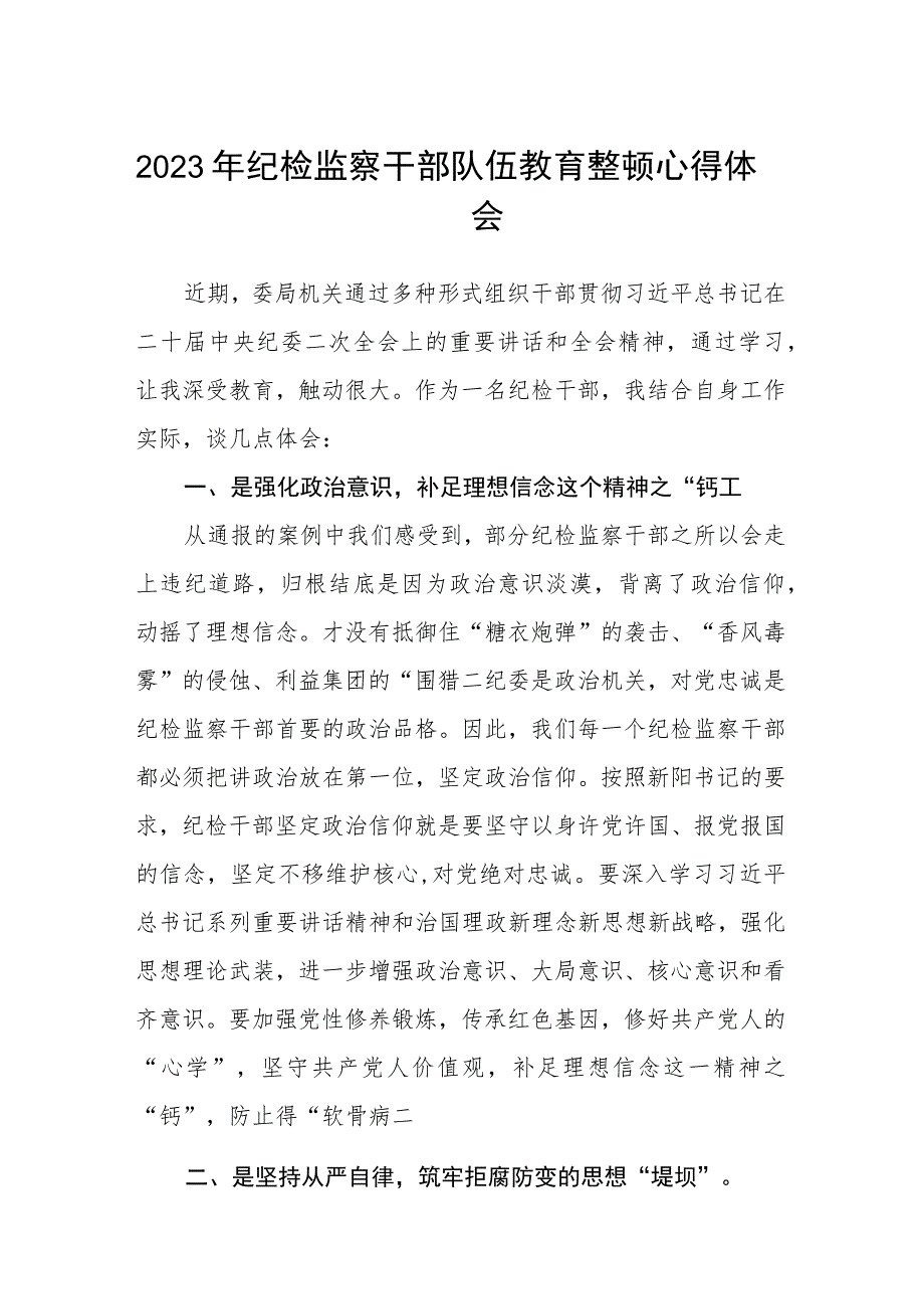 2023年纪检监察干部队伍教育整顿心得体会 (三篇模板).docx_第1页