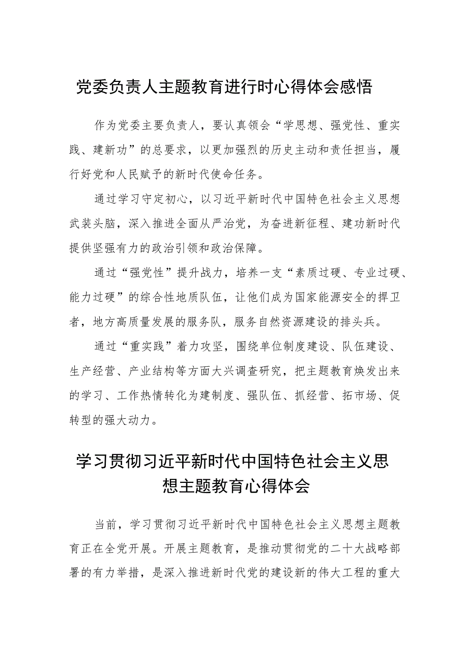 党委负责人主题教育进行时心得体会感悟汇编精选三篇.docx_第1页