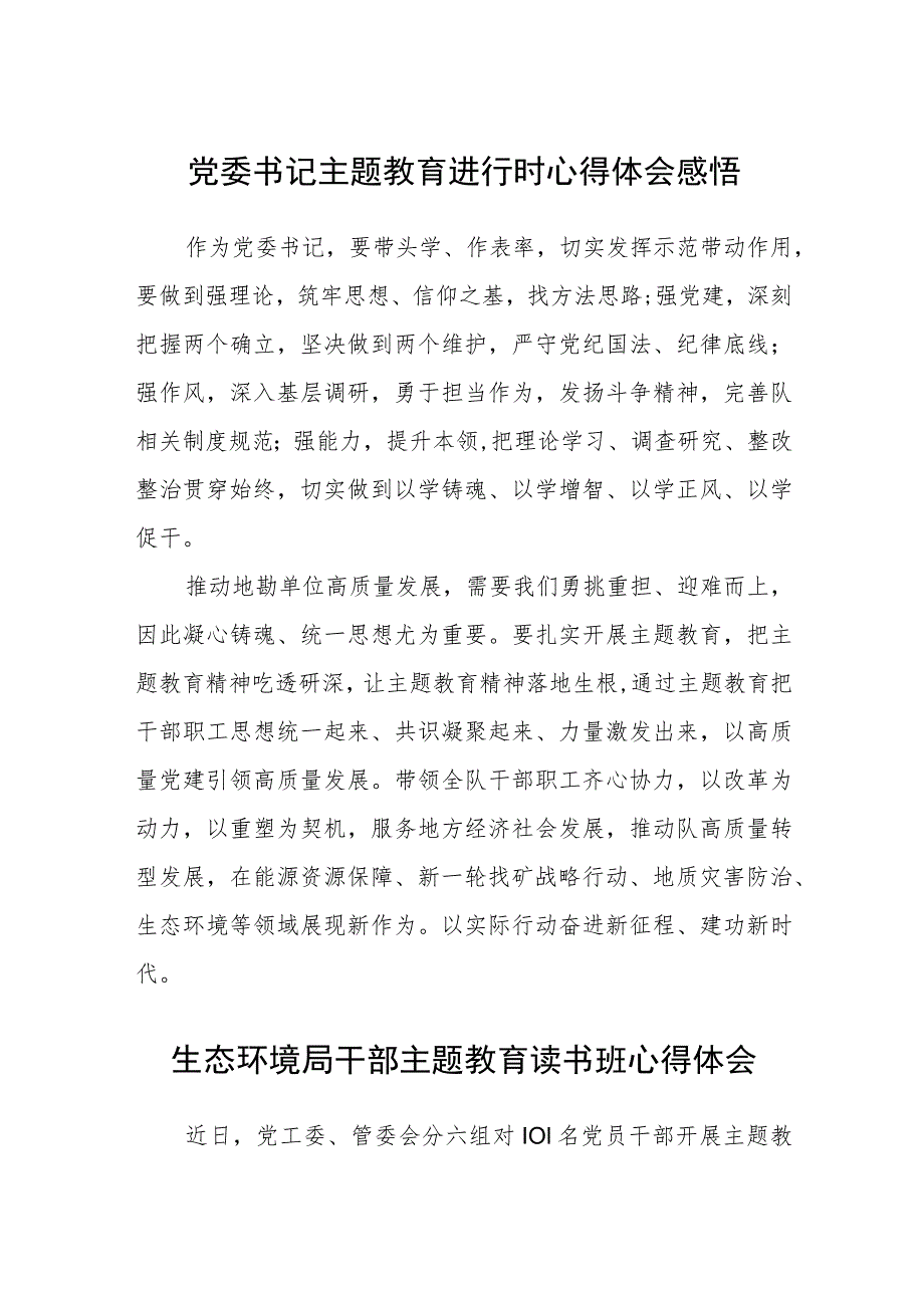 党委书记主题教育进行时心得体会感悟范文（参考三篇）.docx_第1页