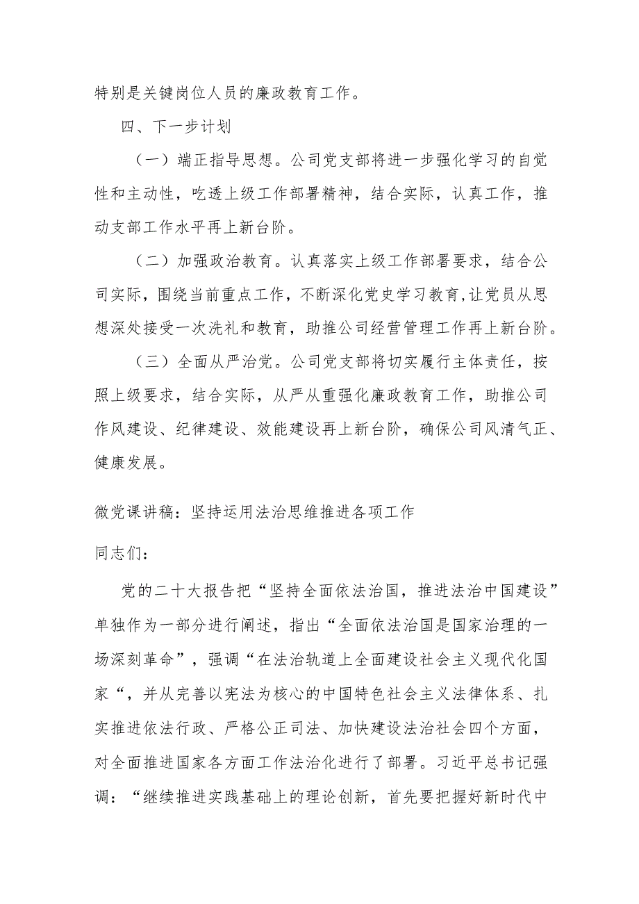 公司党建汇报.docx_第3页