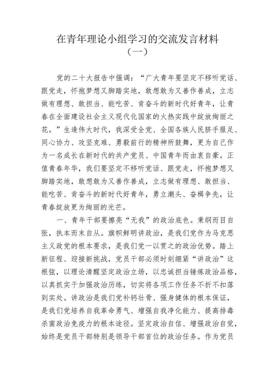 青年理论小组学习交流发言材料参考汇编（3篇）.docx_第2页