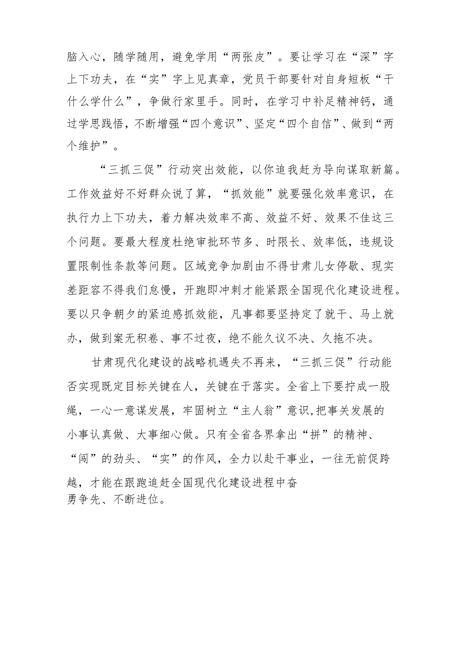 2023年全面开展抓学习促提升、抓执行促落实、抓效能促发展“三抓三促”行动研讨心得发言材料范文(参考三篇).docx_第3页