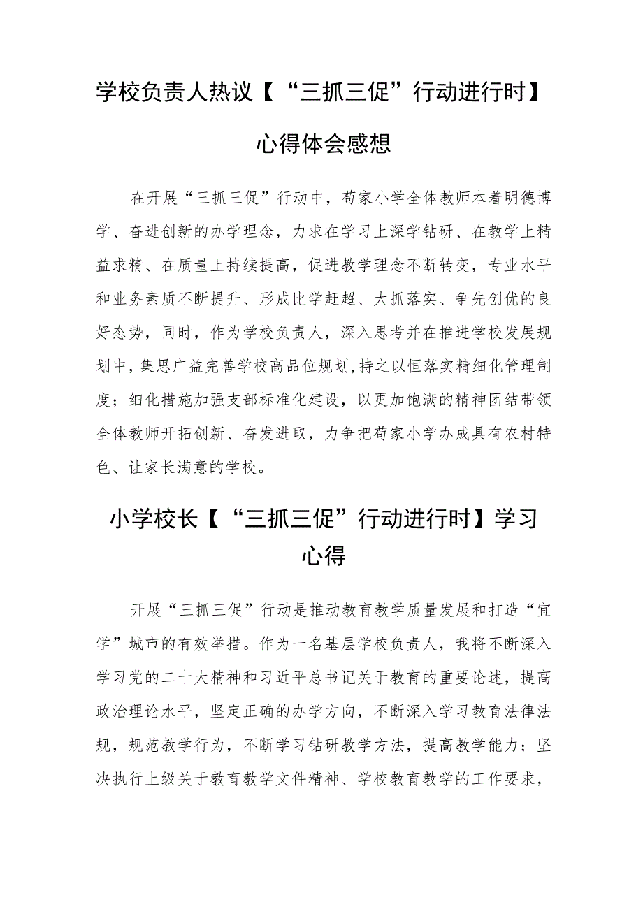 （共三篇）青年教师【“三抓三促”行动进行时】心得体会.docx_第2页