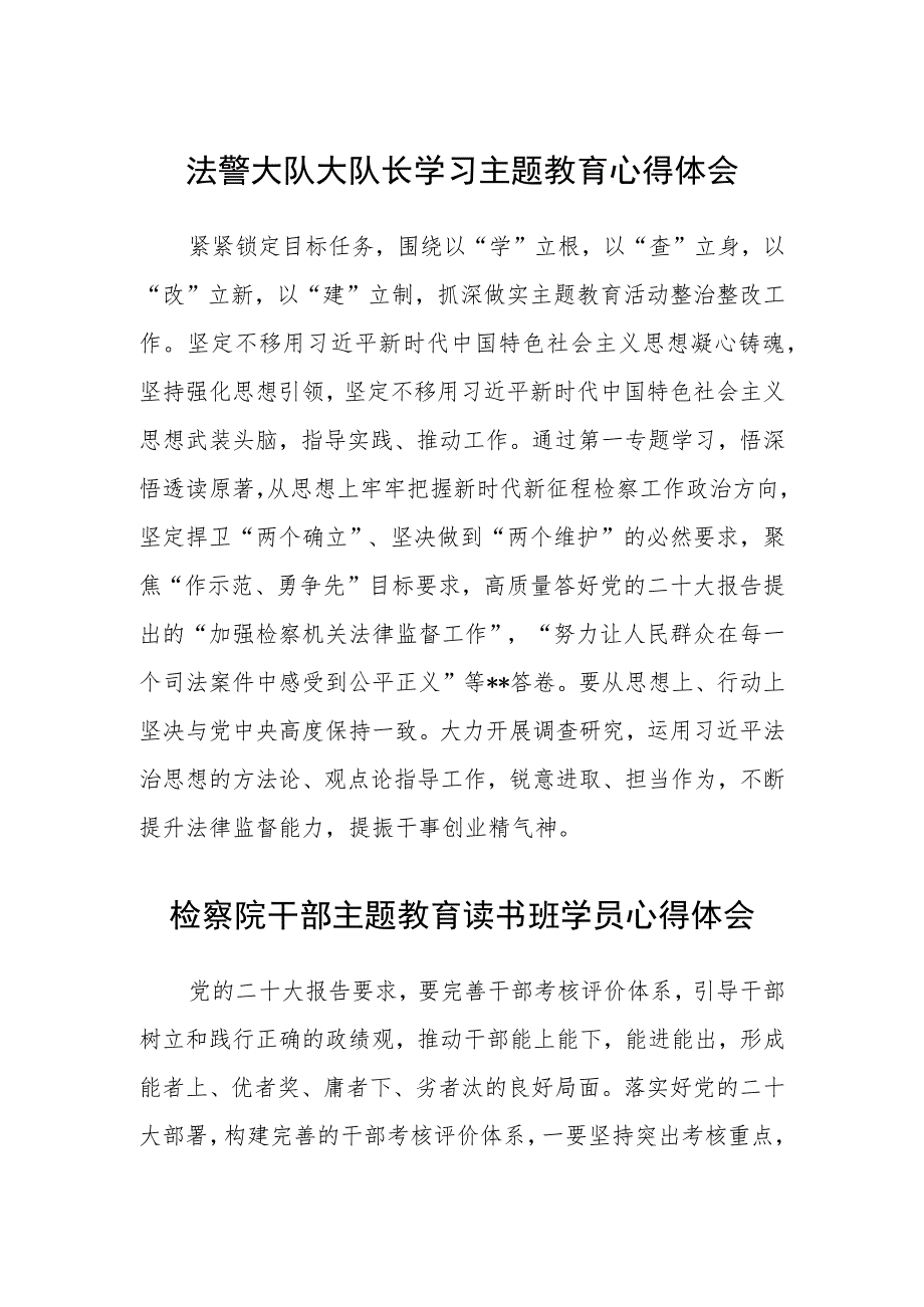 法警大队大队长学习主题教育心得体会（3篇）范本.docx_第1页