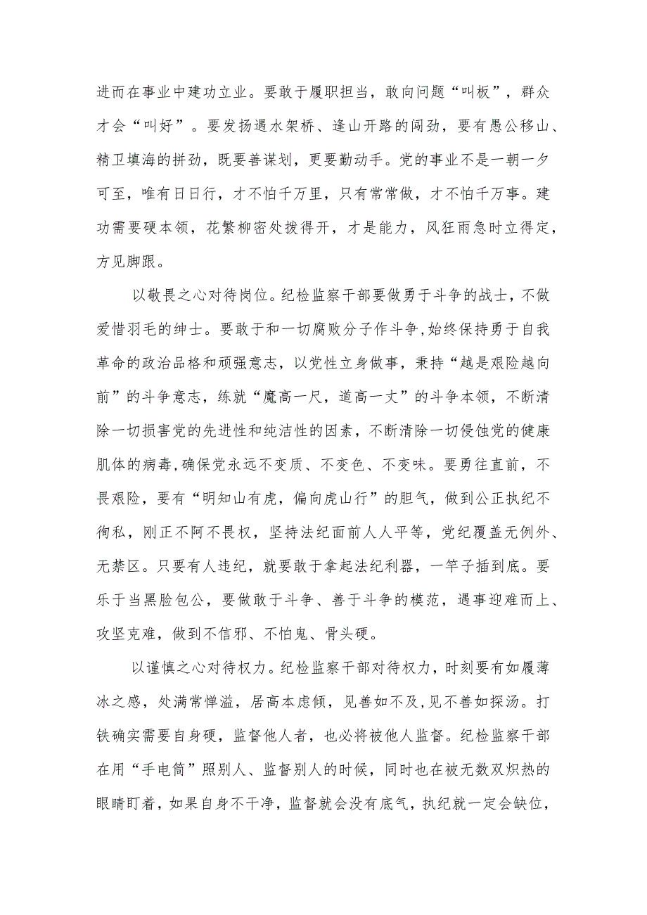 【纪检监察干部中心组研讨发言】做守责任敢担当的“践行者”【精选三篇】.docx_第2页