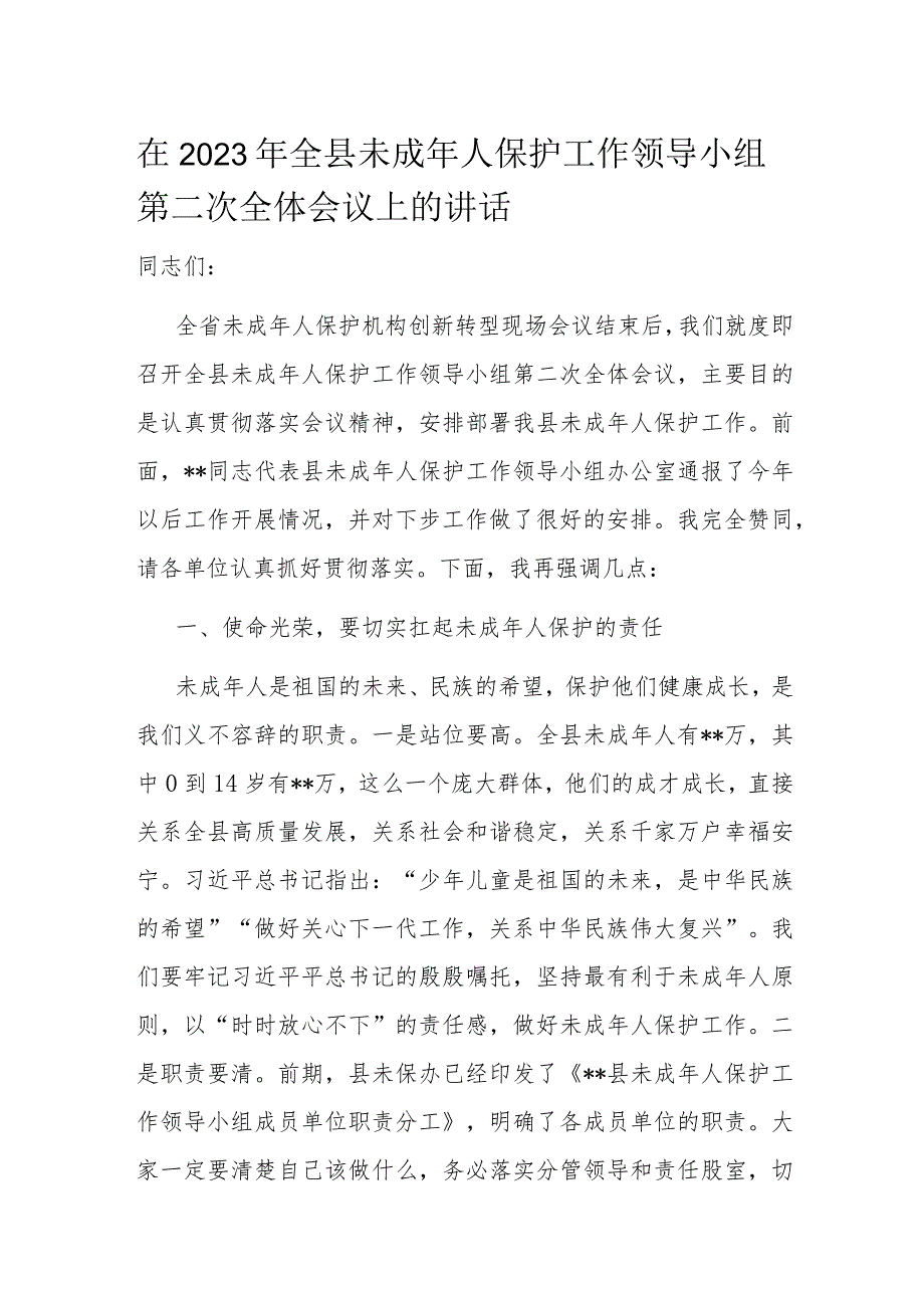 在2023年全县未成年人保护工作领导小组第二次全体会议上的讲话.docx_第1页