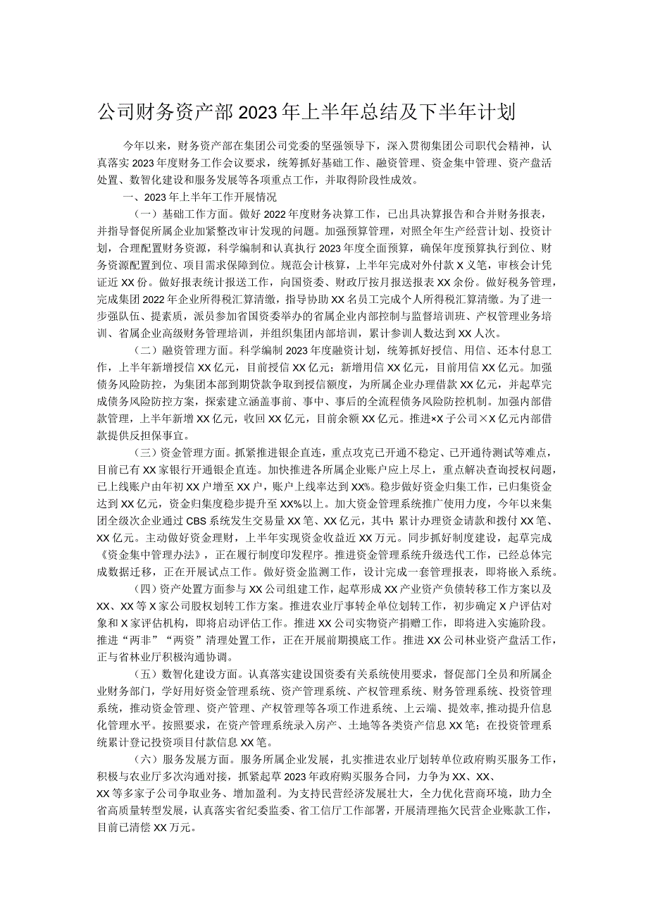 公司财务资产部2023年上半年总结及下半年计划.docx_第1页