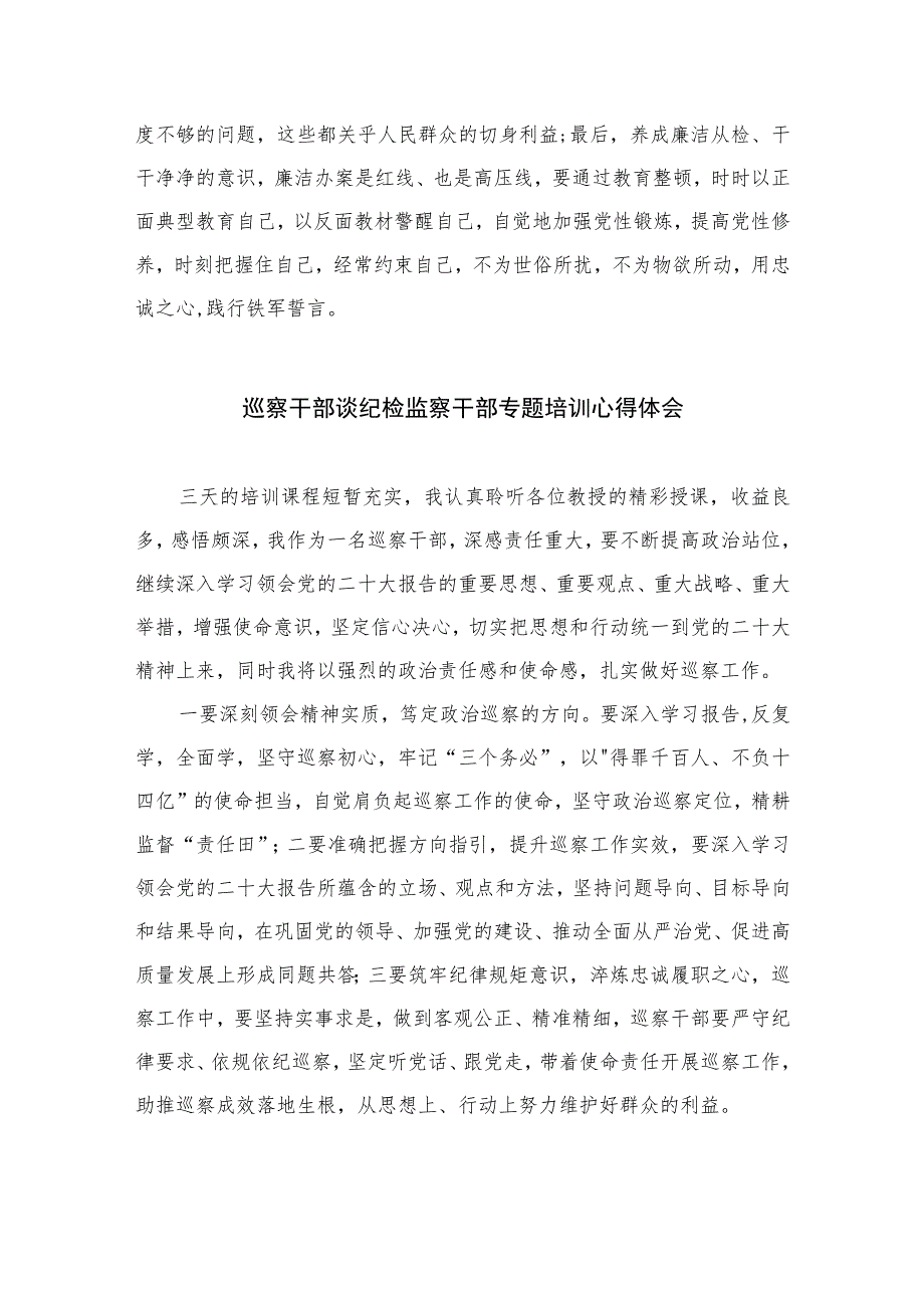 2023纪检干部队伍教育整顿心得体会精选10篇模板范本.docx_第3页