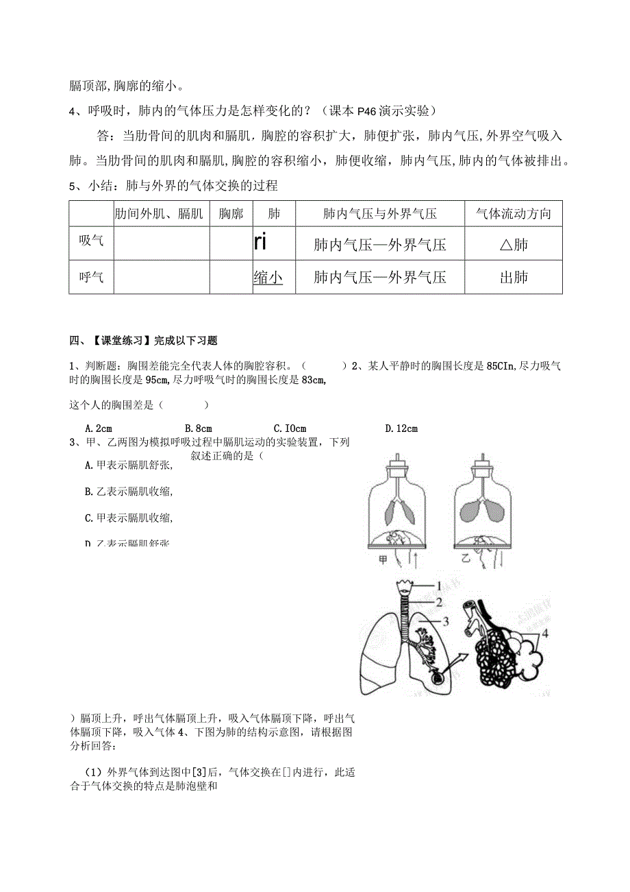 第十章第三节《人体与外界环境的气体交换》.docx_第2页