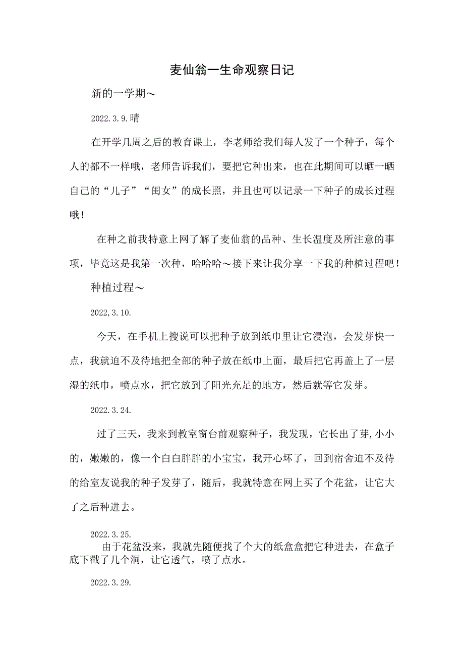 麦仙翁——生命观察日记.docx_第2页