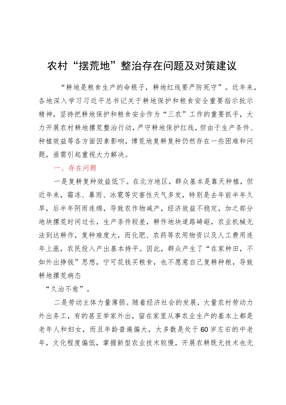 农村“撂荒地”整治存在问题及对策建议.docx_第1页