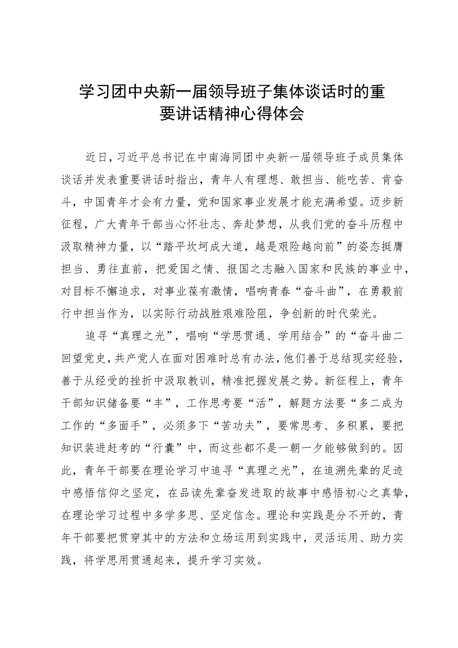 学习团中央新一届领导班子集体谈话时的重要讲话精神心得体会.docx_第1页