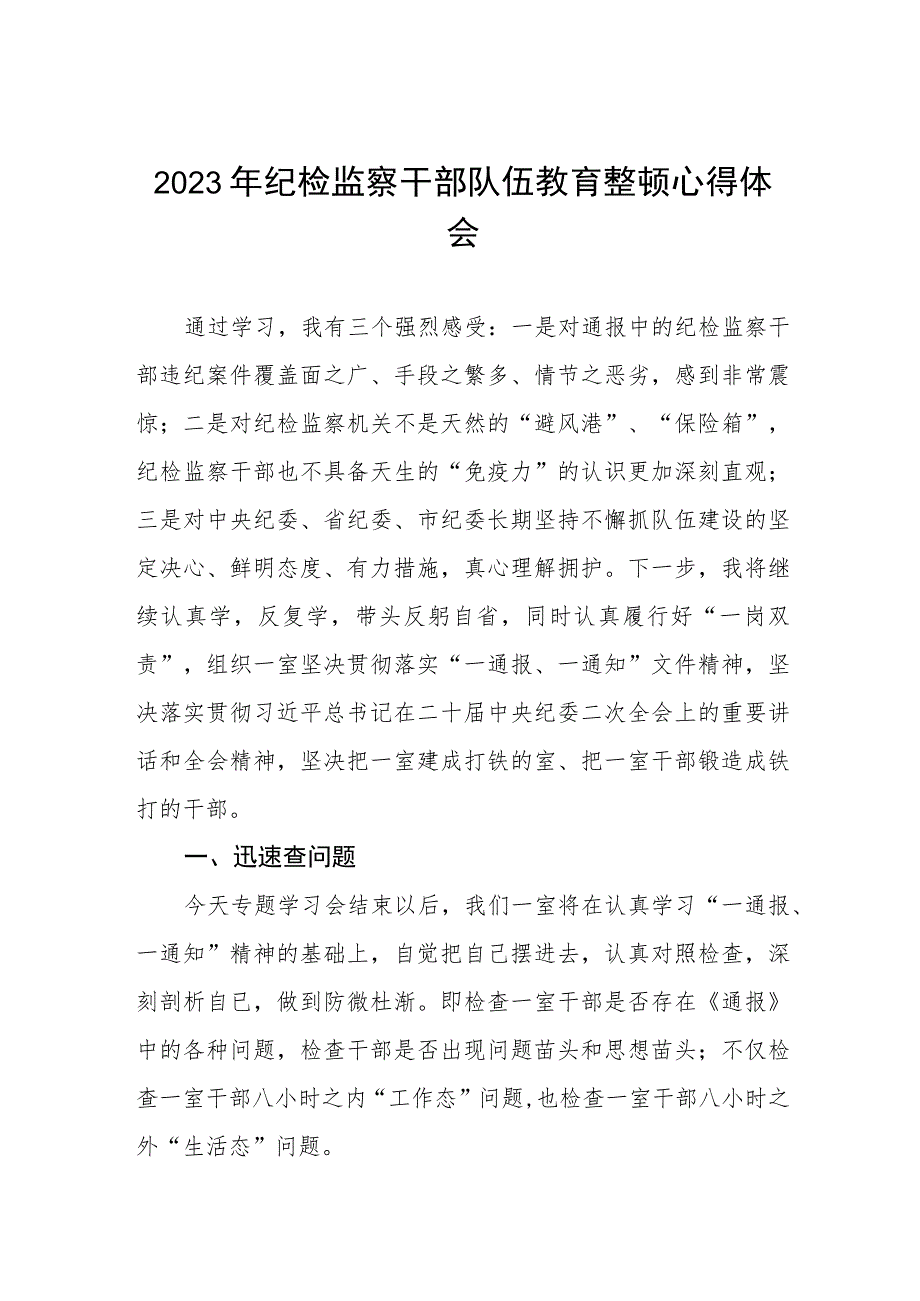 2023纪检监察干部队伍教育整顿的心得体会两篇样本.docx_第1页