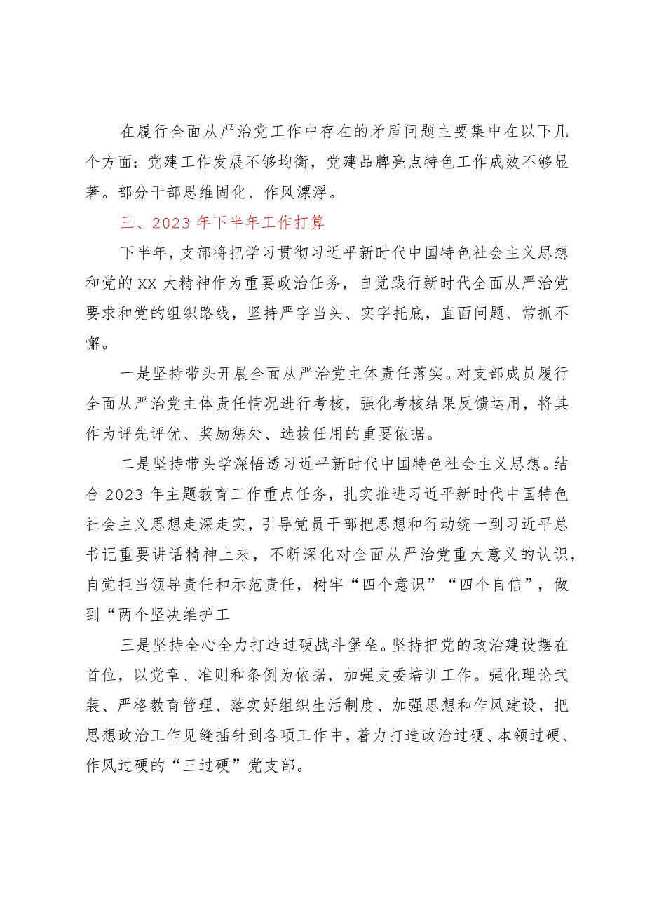 2023年上半年党支部落实全面从严治党主体责任工作报告.docx_第3页