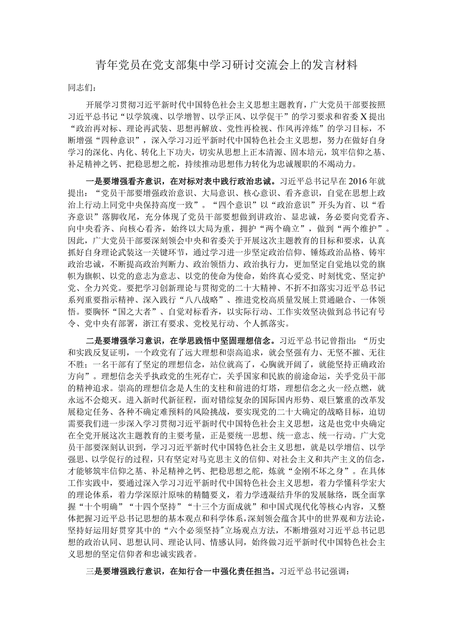 青年党员在党支部集中学习研讨交流会上的发言材料.docx_第1页