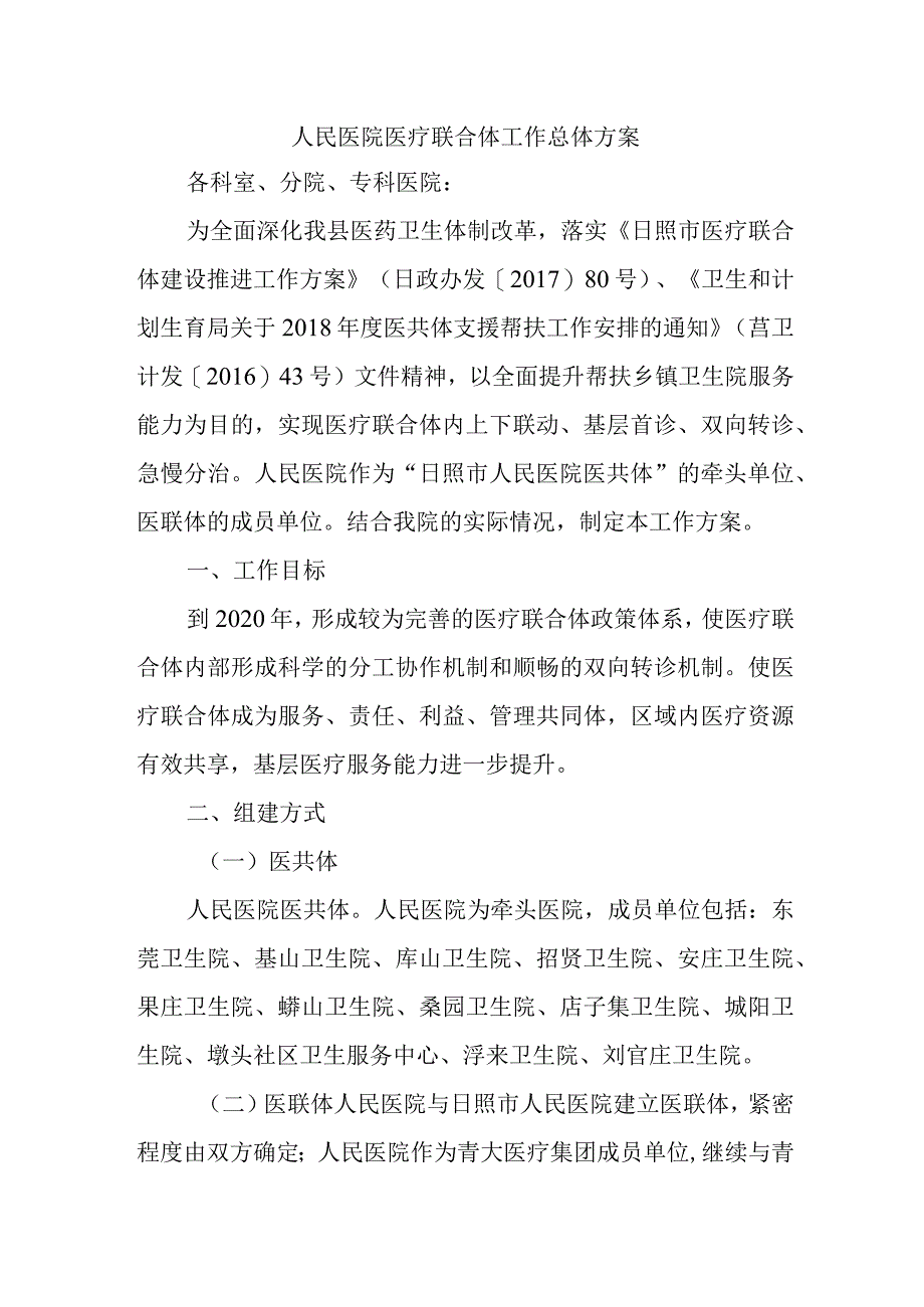 人民医院医疗联合体工作总体方案.docx_第1页