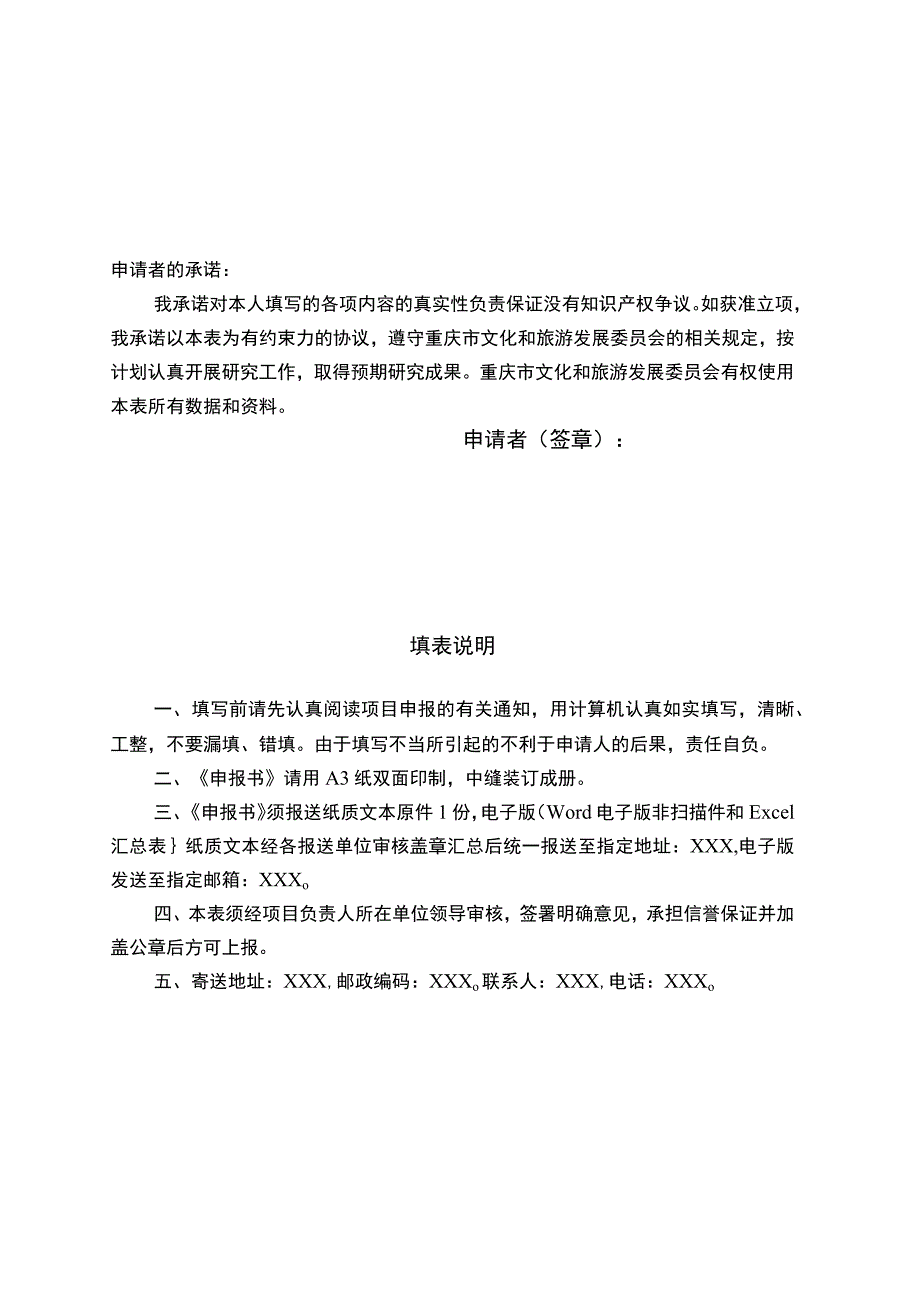 重庆市文化和旅游领域项目申报书.docx_第2页