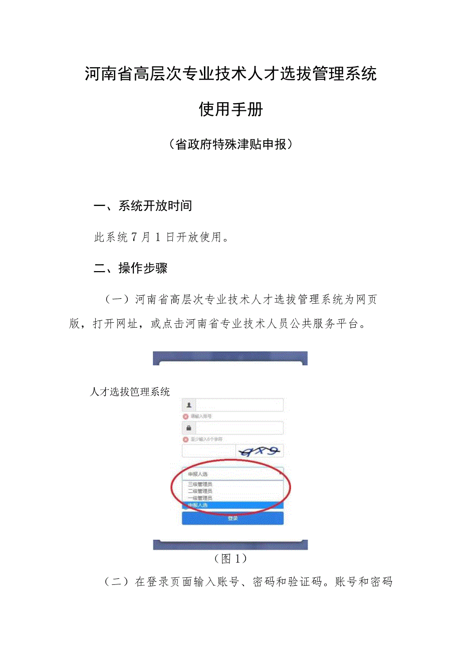 河南省高层次专业技术人才选拔管理系统使用手册.docx_第1页