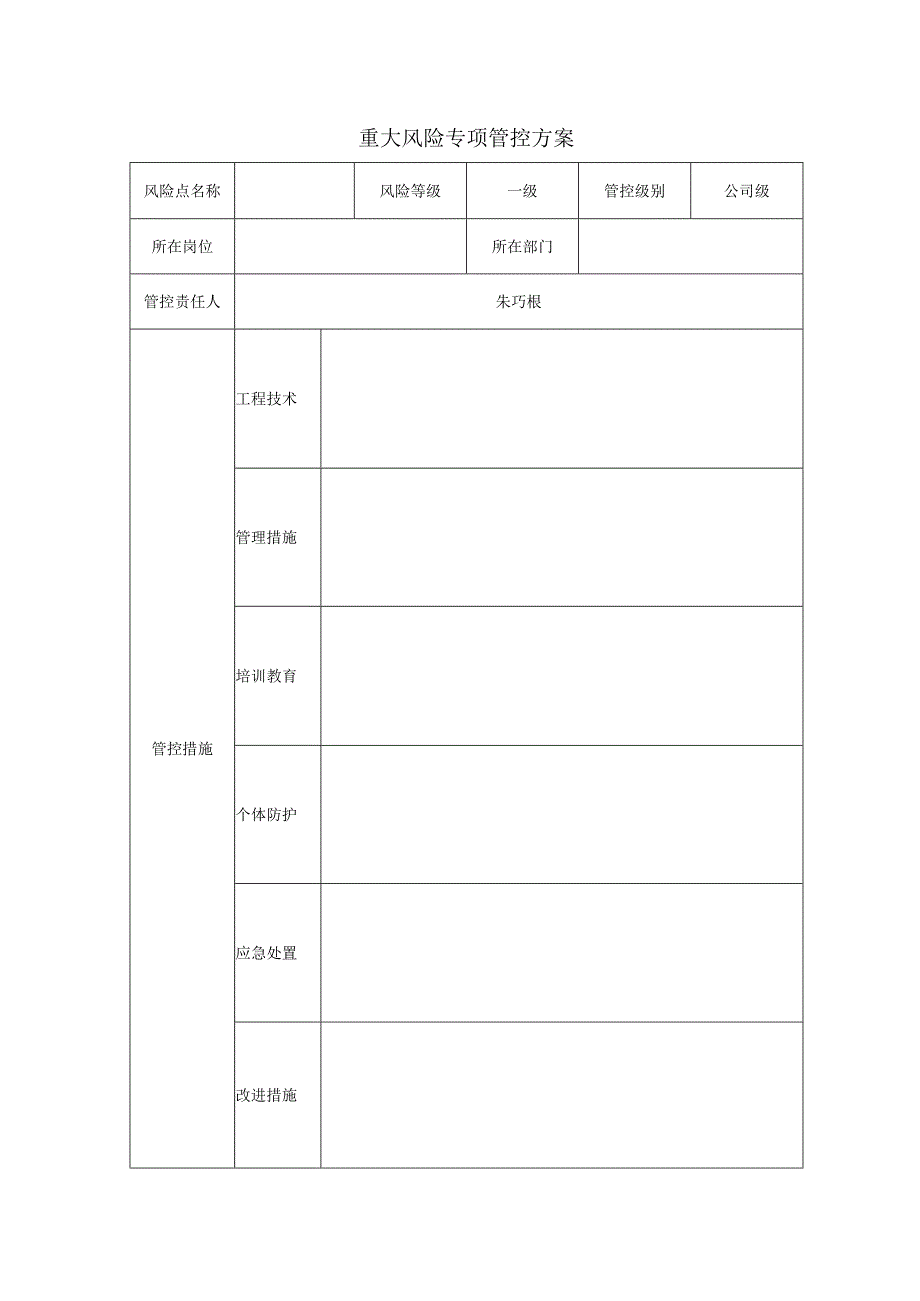 重大风险专项管控方案 - 空表.docx_第1页