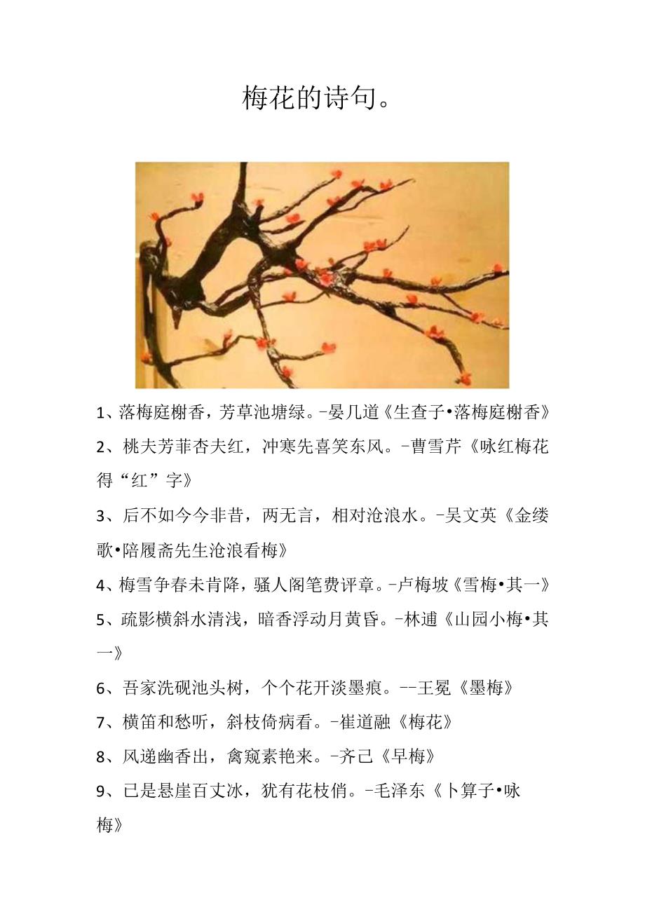 梅花的诗句.docx_第1页