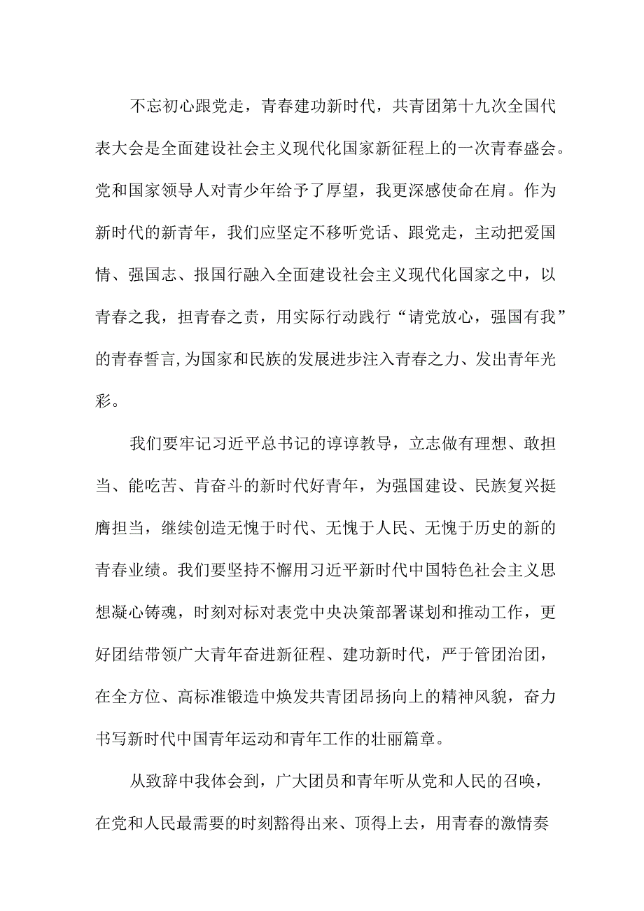 青年干部学习贯彻共青团第十九次全国代表大会精神心得体会 合计4份.docx_第2页