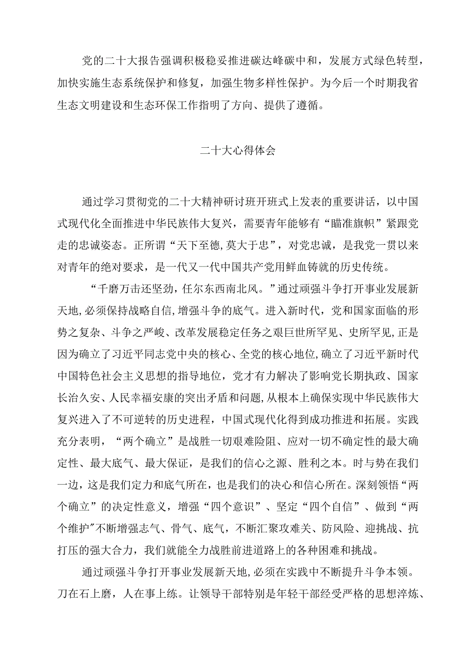 二十大心得体会(精选四篇样本).docx_第3页