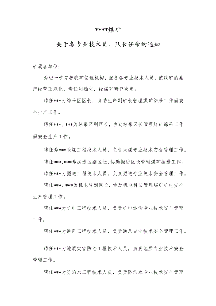 煤矿各技术员、队长任命BZH.docx_第1页