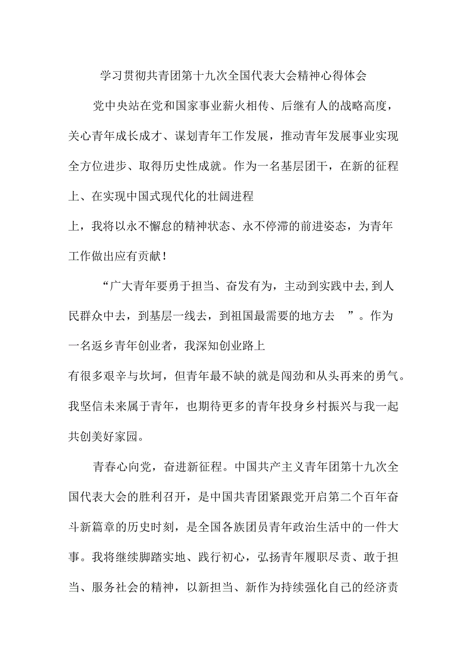 青年党员学习贯彻共青团第十九次全国代表大会精神个人心得体会 汇编4份.docx_第3页