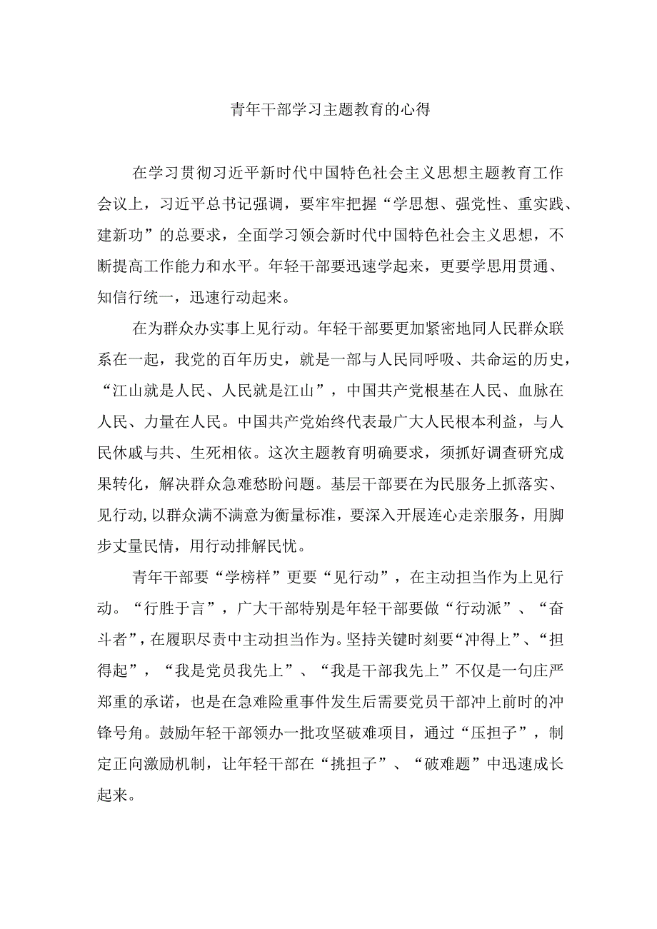 青年干部学习主题教育的心得.docx_第1页