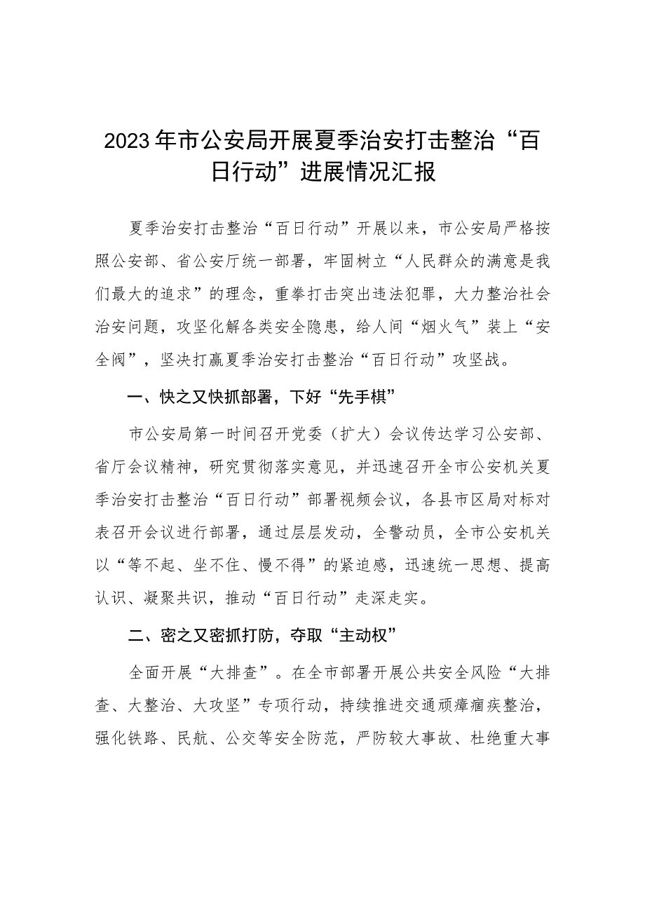 2023开展夏季治安打击整治“百日行动”工作总结四篇.docx_第1页