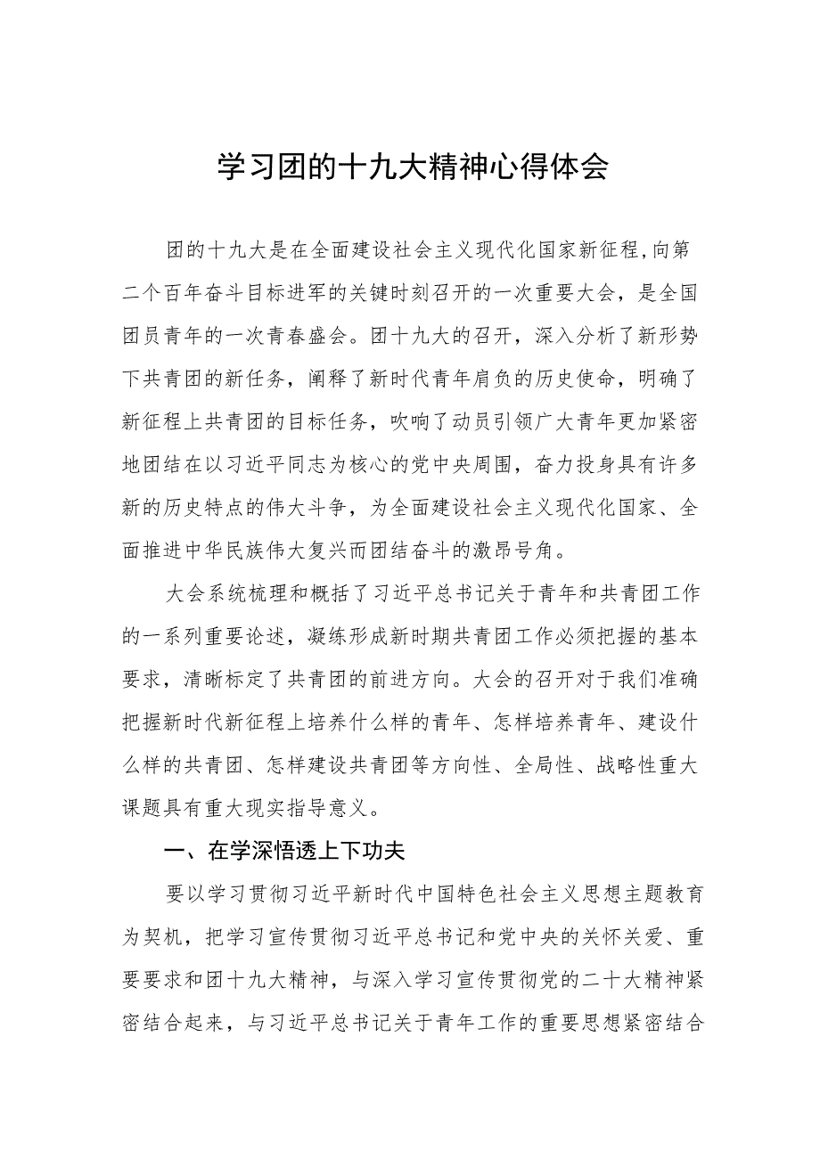 2023年青年团第十九次全国代表大会精神学习心得体会.docx_第1页