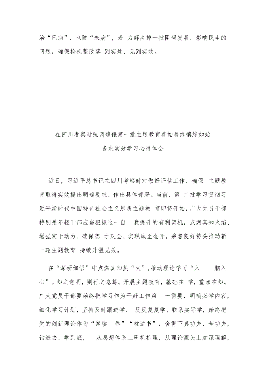 在四川考察时强调确保第一批主题教育善始善终慎终如始务求实效学习心得体会3篇.docx_第3页