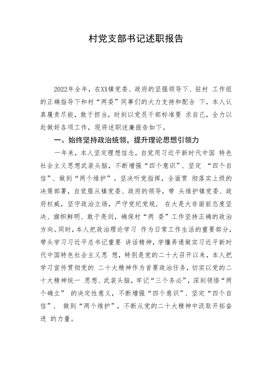 村党支部书记述职报告.docx_第1页