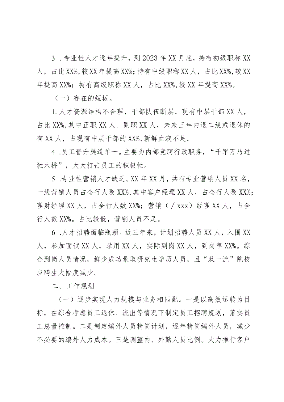 XXX银行人才队伍建设规划.docx_第2页