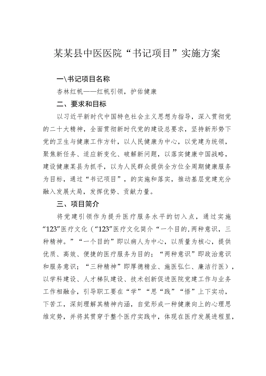 某某县中医医院“书记项目”实施方案.docx_第1页