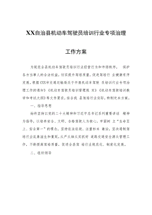 XX自治县机动车驾驶员培训行业专项治理工作方案.docx