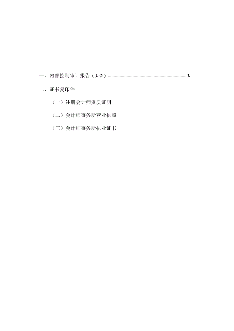 XX资讯股份有限公司202X年内部控制审计报告.docx_第2页