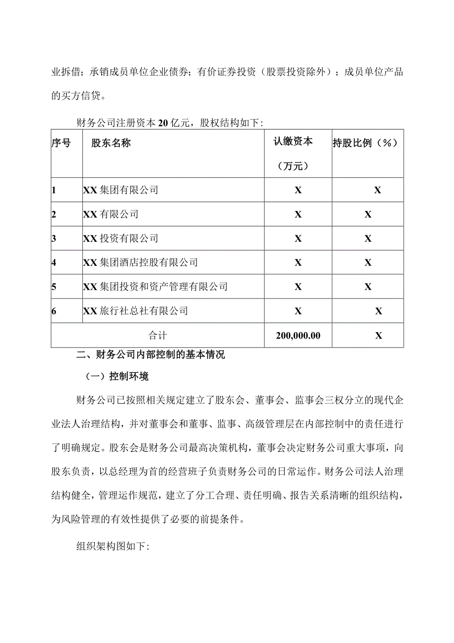 XX集团有限公司关于对XX集团财务有限公司的风险持续评估报告.docx_第2页