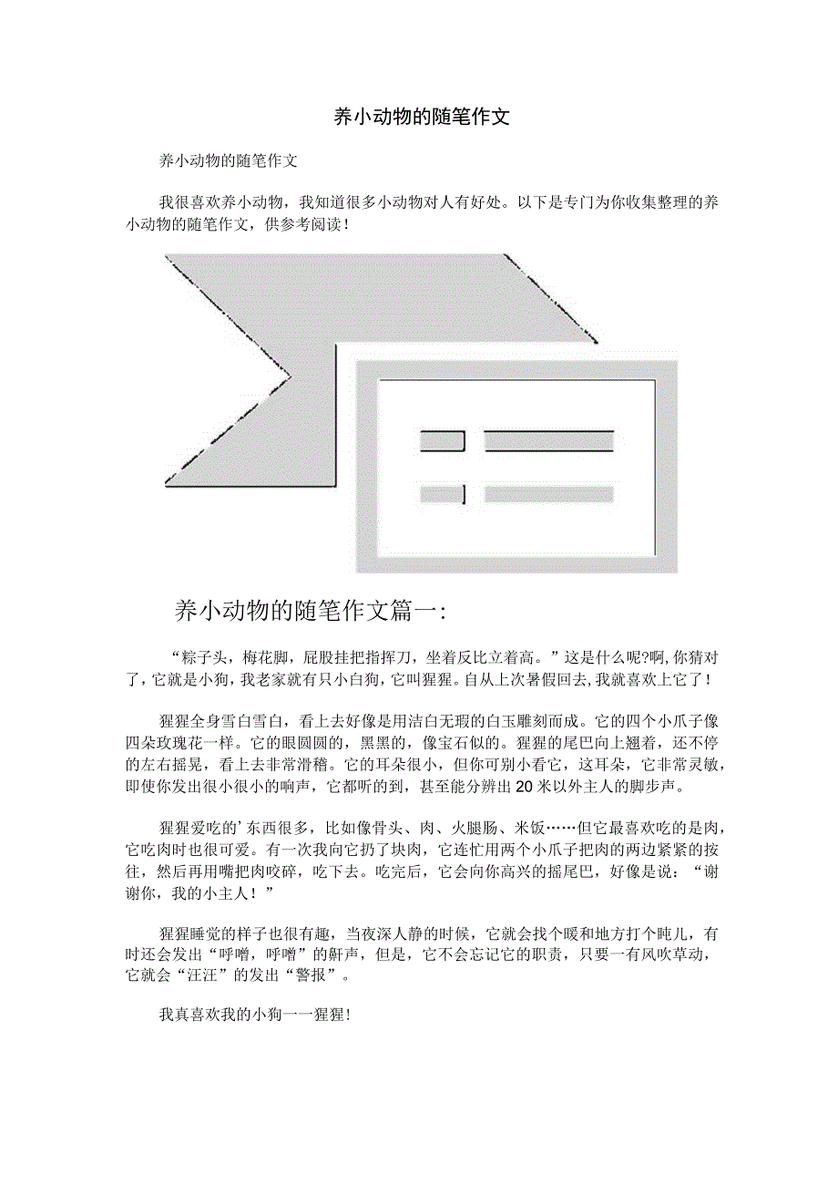 养小动物的随笔作文.docx_第1页