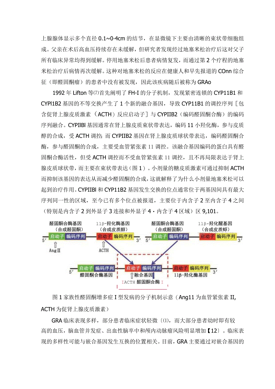 家族性醛固酮增多症研究现状与思考.docx_第2页