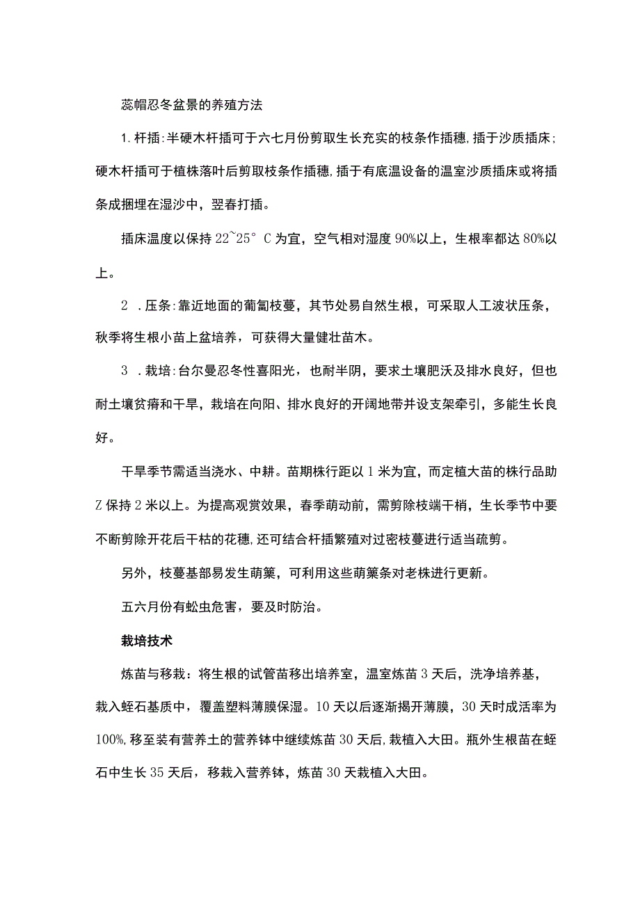 蕊帽忍冬盆景的养殖方法.docx_第1页