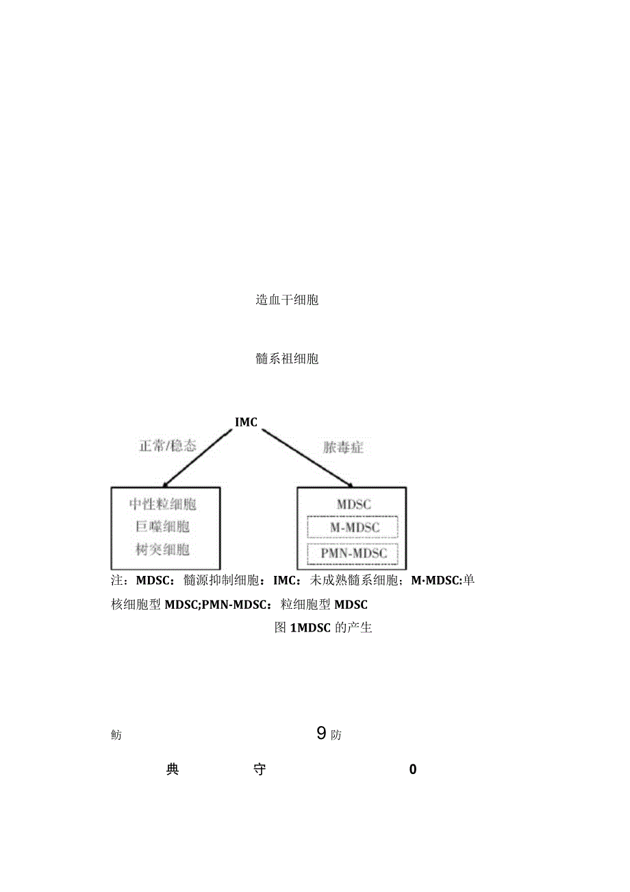 2023中药单体调控髓源抑制细胞功能在脓毒症中的研究进展.docx_第2页